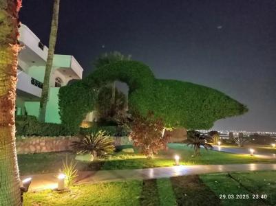 Naama Bay & Resort - 60