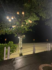 Novotel Phuket Kamala Beach - 94