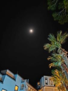 Seven Seas Life - Ultra All Inclusive & Kids Concept - 19