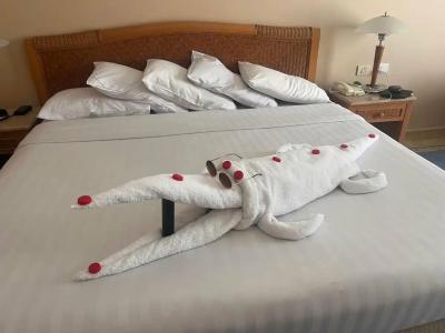 Ecotel Dahab Bay View Resort - 17