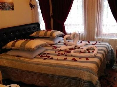 Le Safran Suite - 74