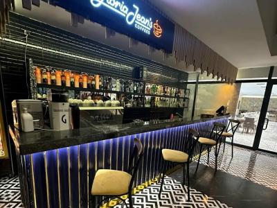 Snowflake Dag & SPA - 5