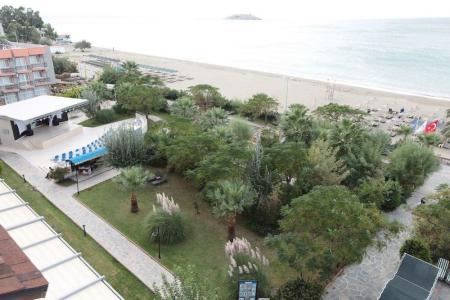 Club Cactus Paradise - 20