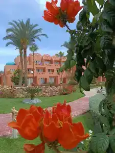 Nubian Island, Families and Couples only - 21