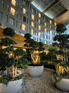 Waldorf Astoria Cairo Heliopolis - 22