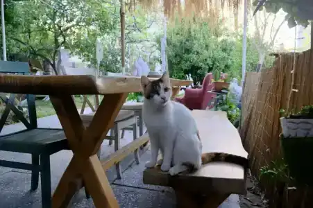 L'onda Oda Bodrum - 8