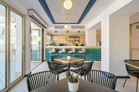 Vibra Palma Cactus - 44