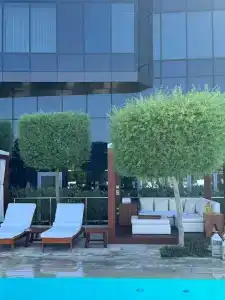 The Abu Dhabi Edition - 9