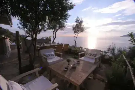 Beyaz Yunus - Adult Only - 73