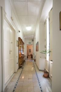 AeR BJ Vittoria - 33