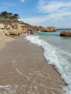 Labranda Sharm Club - 58