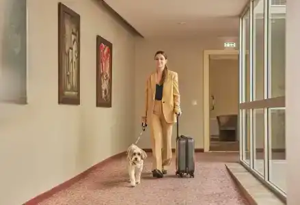 Ratonda Centrums - 41