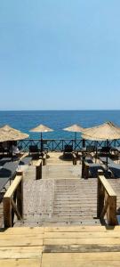 Assos Behram Special Class Adult Only 12 - 30