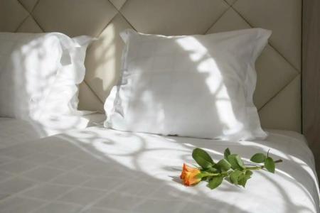 GOLDEN TULIP CANNES de PARIS - 29