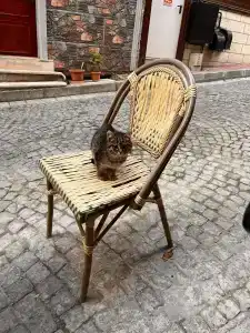 Berce Apartments - 10