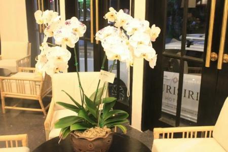Buri Siri Boutique - 51