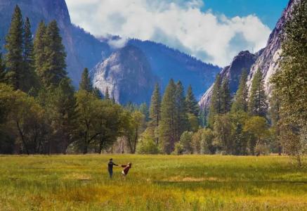 Best Western Plus Yosemite Gateway Inn - 30