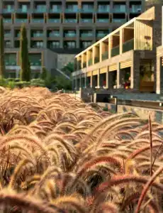 Lujo A`la Carte All Inclusive - 22