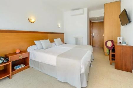 Vibra Palma Cactus - 74