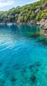 Selectum Luxury Door'a Bodrum - 9