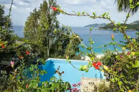 Beyaz Yunus - Adult Only - 29