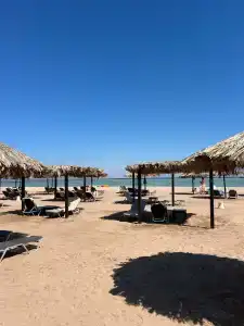 Steigenberger Alcazar - 95