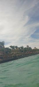 Sunny Days El Palacio Resort & Spa - 53
