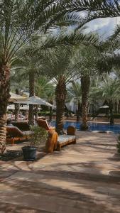Park Hyatt Dubai - 20