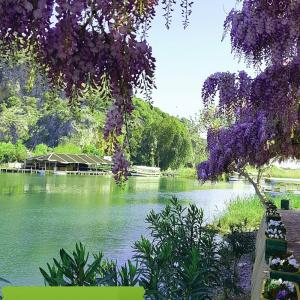 Dalyan Nish Caria - 15