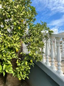 Halıcı Marmaris - 62