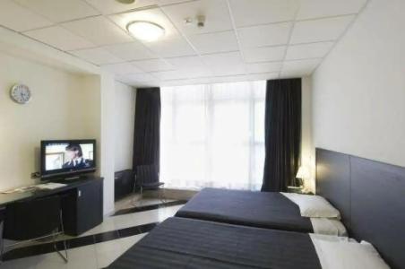 Executive Business - 13