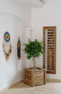 Costa Maya Bodrum - 76