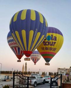 Phocas Cave Suites - 15