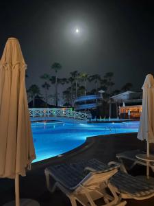 Holiday Garden Resort - 95