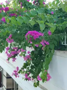 Crystal Tat Beach Golf Resort & Spa - Ultimate All Inclusive - 79