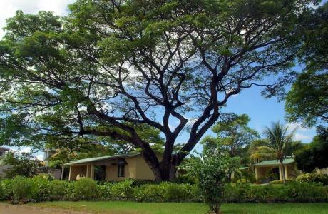 Anelia Resort & Spa - 64