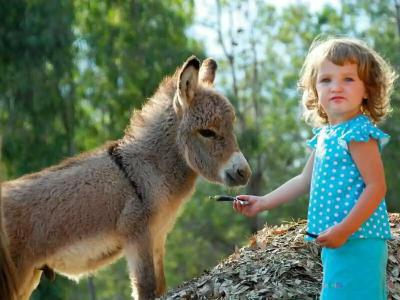 Arbatax Park Resort - Dune - 23