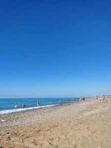 Euphoria Palm Beach Resort - 16