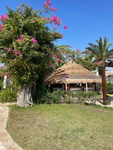 Venosa Beach Resort & Spa - All Inclusive - 4