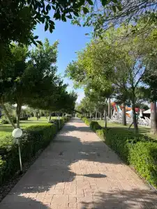 Andriake Beach Club Demre - 10