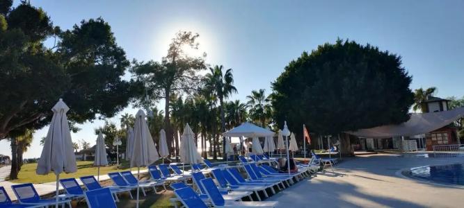 Loxia Comfort Club Side - 81