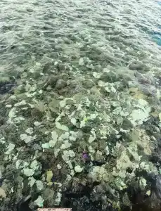 Sultan Gardens Resort - 58