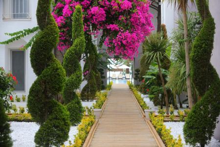 Casa dell'Arte of Arts & Leisure - 7