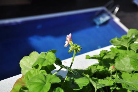 ApartPuerto Mar - 34