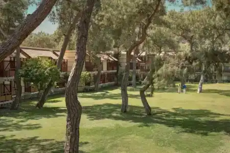 ROBINSON CAMYUVA - Adults only - 28