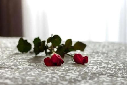 Aspendos Seaside - 43