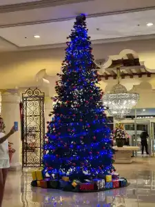 Sheraton Sharm, Resort, Villas & Spa - 35