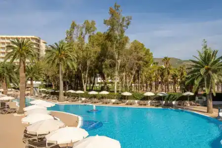 Sol Palmanova Mallorca - 15