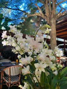 Naithonburi Beach Resort - SHA Extra Plus - 70