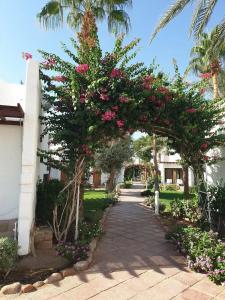Fayrouz Resort - 9